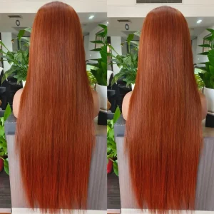 Colored Human Hair Wig Straight 20 Inch Custom Shade